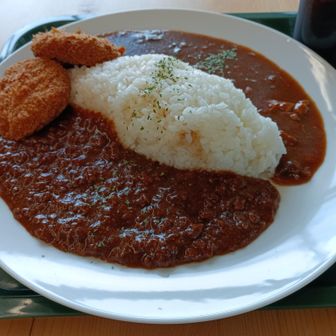 柔らかヒレカツとスパイシーなデミグラス風カレーとうまうまスパイシーキーマとってもうまいうまいにゃ！！