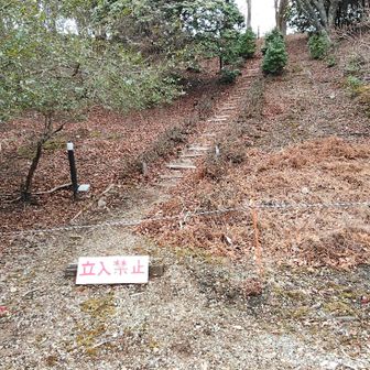 次は能勢妙見山神社⛩️の駐車場横にあるグレーピーク🩶「妙見小山」なんですが、立入禁止となってます😓

100mルールでPH出来るんですが…

やっぱり気になるし…

よし、こうなったら…