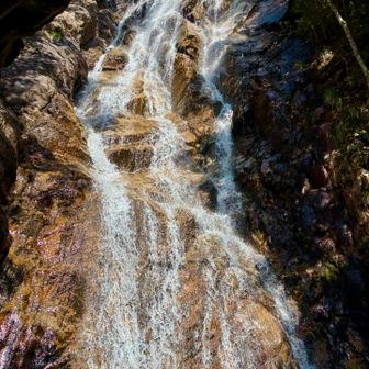 楊梅の滝　雄滝です。