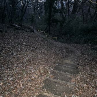 思った以上の山道でした。