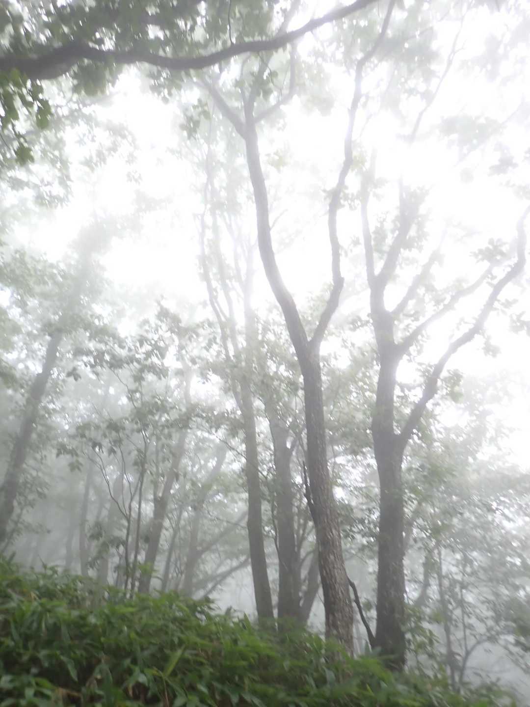 榛名富士登山口-榛名富士 往復コースの写真