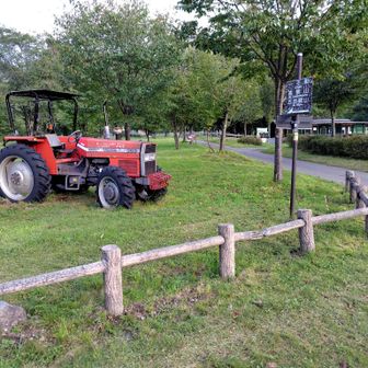 本当はキャンプ場、牧場を登山の格好で通り抜けます。
でも、それって皆さんならわかりますよね。
なかなか恥しかったです😆