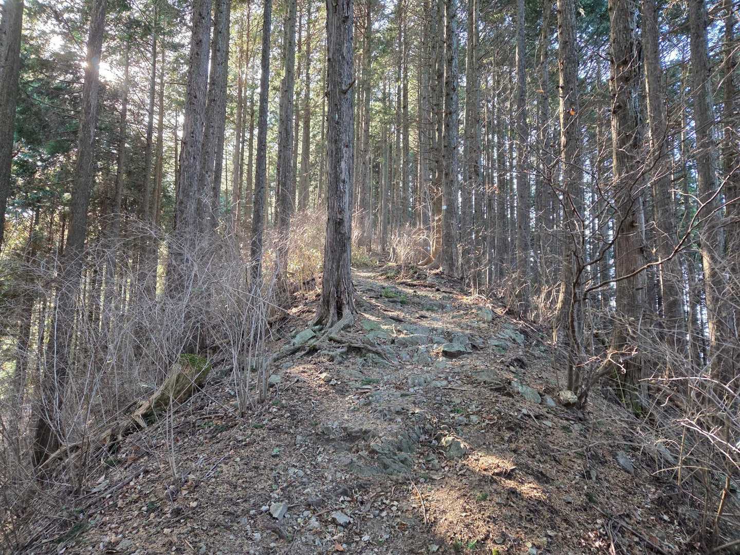 登山ルートから外れてグレーピークを取りに行きます⛰️
