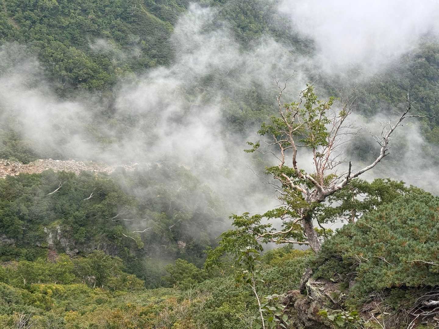 ガスが湧き出てるけど…
熊さん出ないでね💦💦