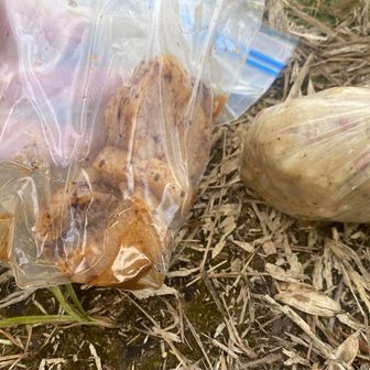 昨晩の残り…
ではなく行動食にと作ってくれた山芋とマッシュポテト🥔