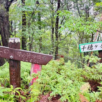 千穂ヶ峯 山頂