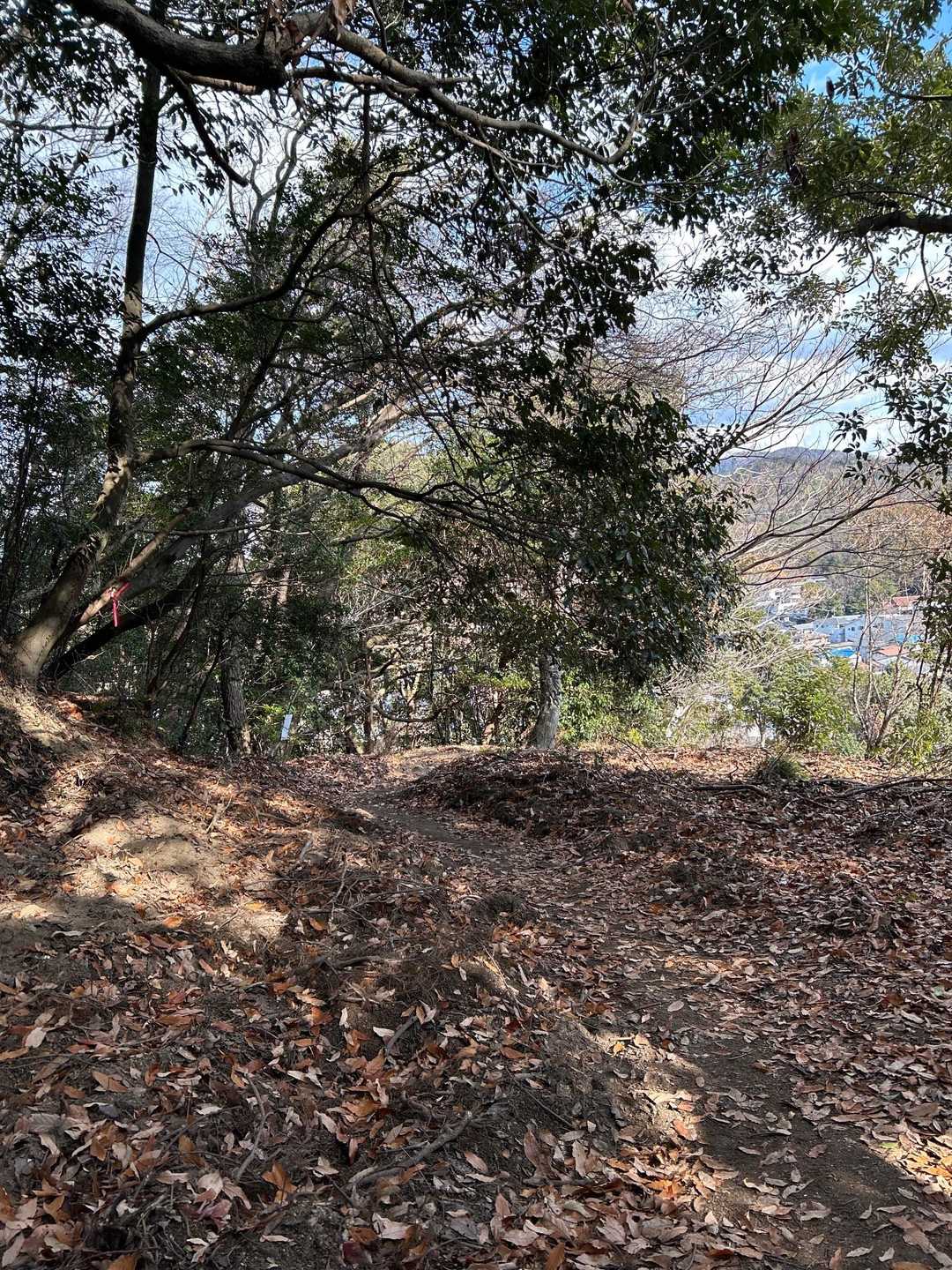 広島東照宮・尾長山 往復コースの写真