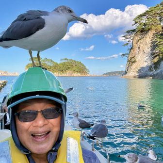 そしたらなんと！いきなりウミネコオンマイヘッド🪖