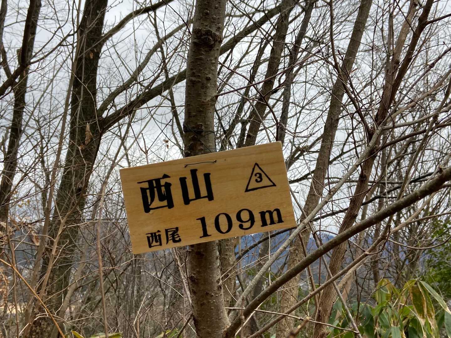 山名板、ありがとうございます😊