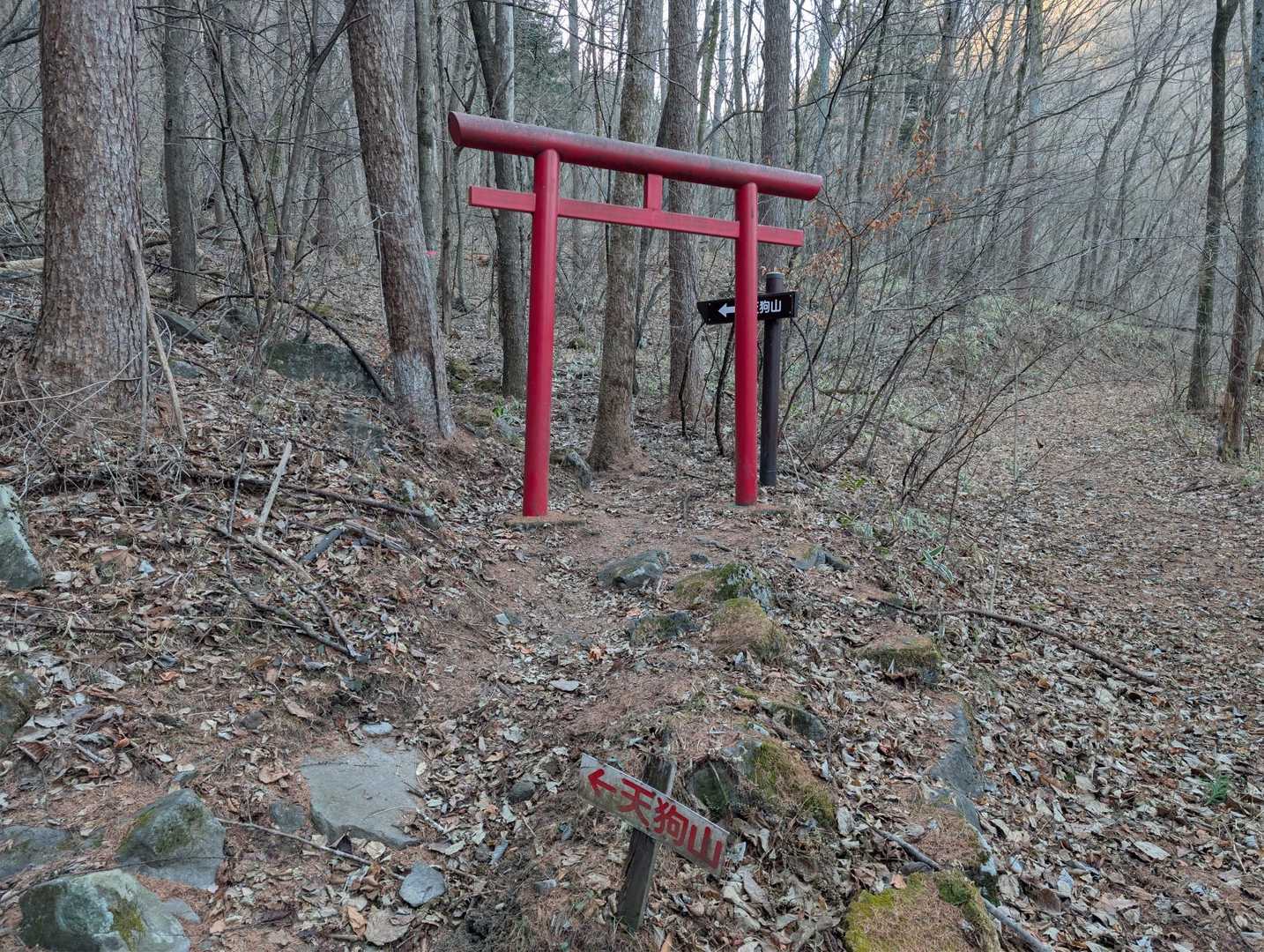 鳥居に出ました⛩️ここから、勾配が少しキツくなります👣