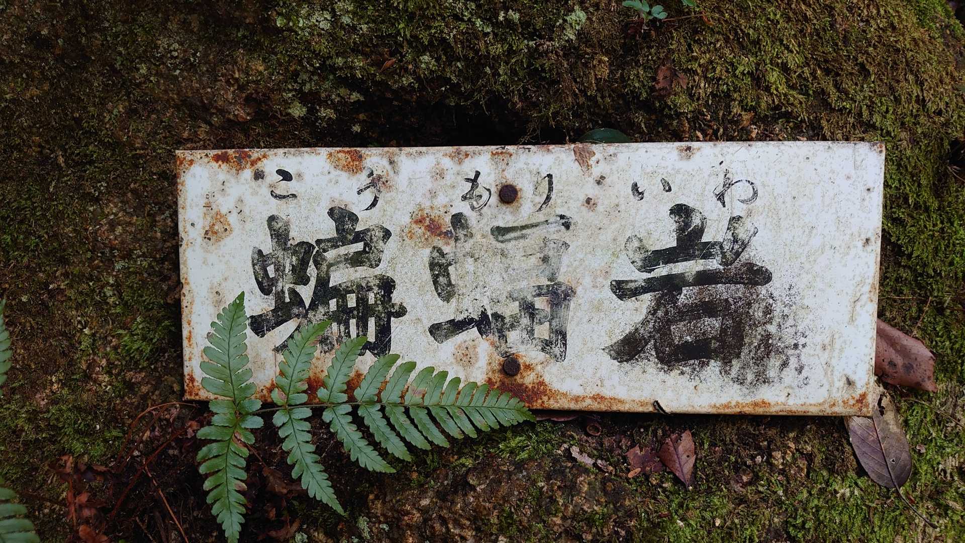 白石山登山口-白石山 周回コースの写真