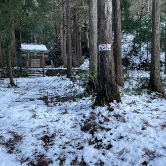 神社に手を合わせてから登ります。👏🙏