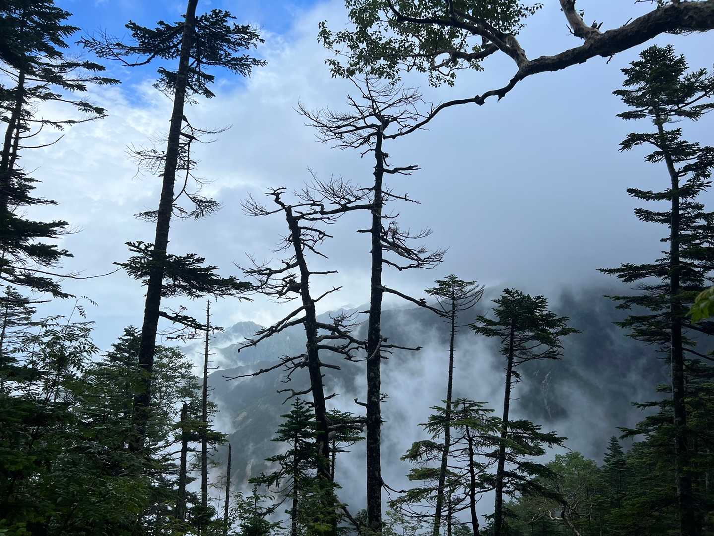 幻想的な景色😳