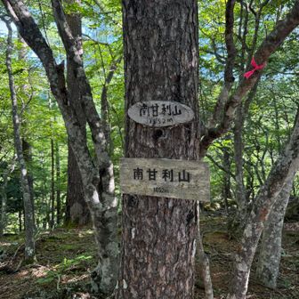 南甘利山とうちゃこ🙌
眺望はなし😂