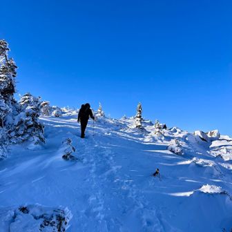 しかしこの空はとんでもねー🤣。　吸い込まれるとはこの事。