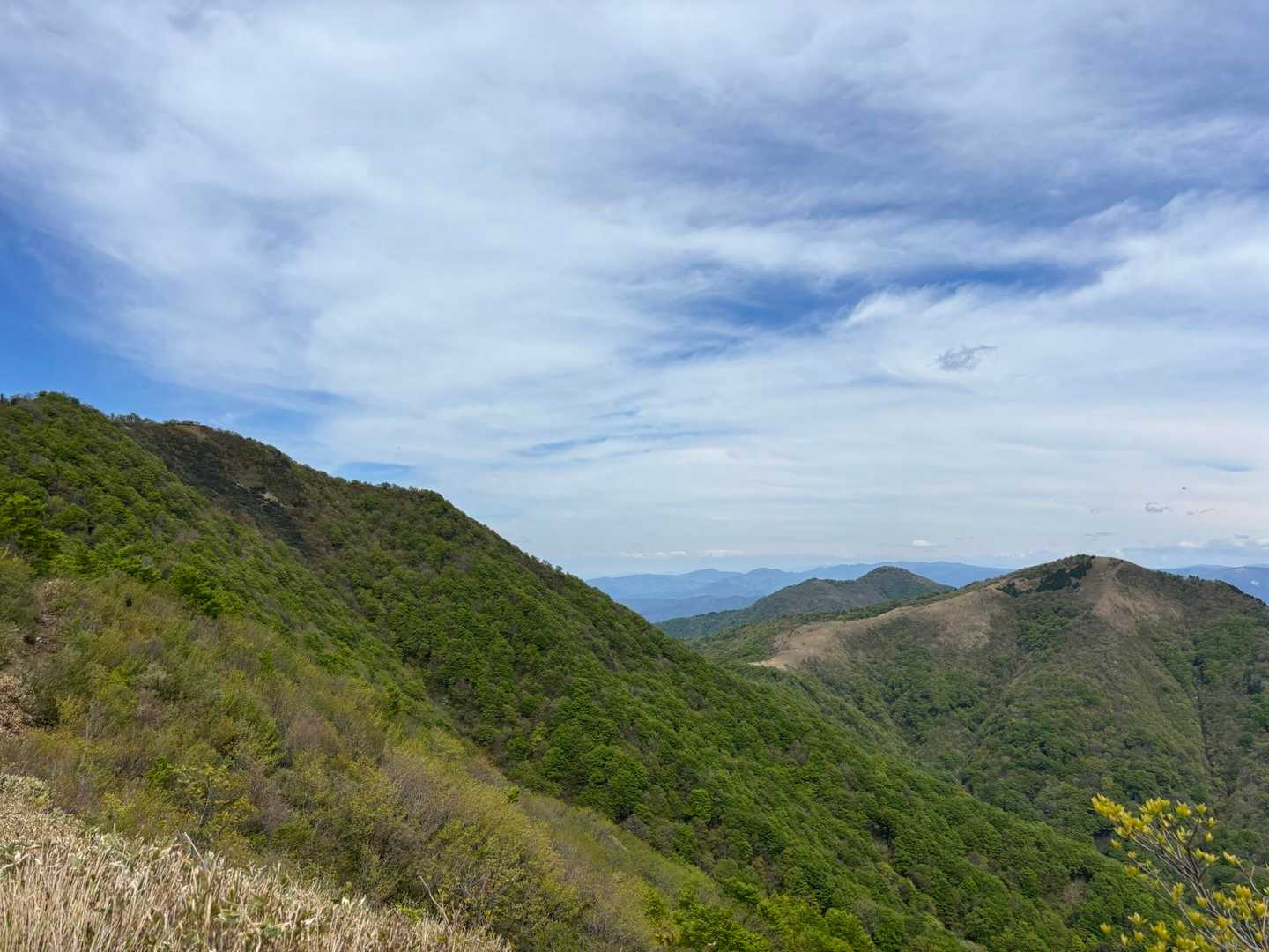 左手前が上蒜山、右が中蒜山、中央奥が下蒜山
この景色を見たら足の痛みもどこかに行きました
来てよかった