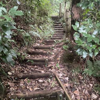 結構登りごたえあります💦ワシワシ登る。