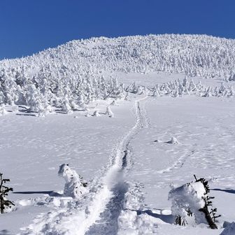 このトレースは帰りにはかなり消えていた🫠