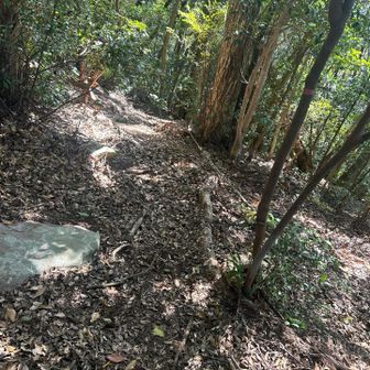 結構な急登でした、、
ロープ様様です。。