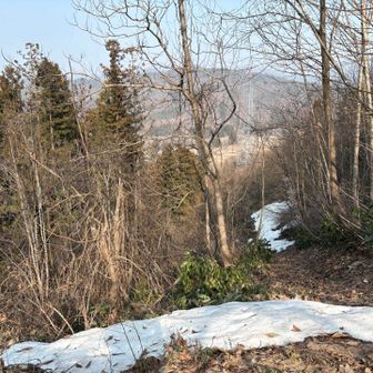 北の斜面には まだ 所々雪あり