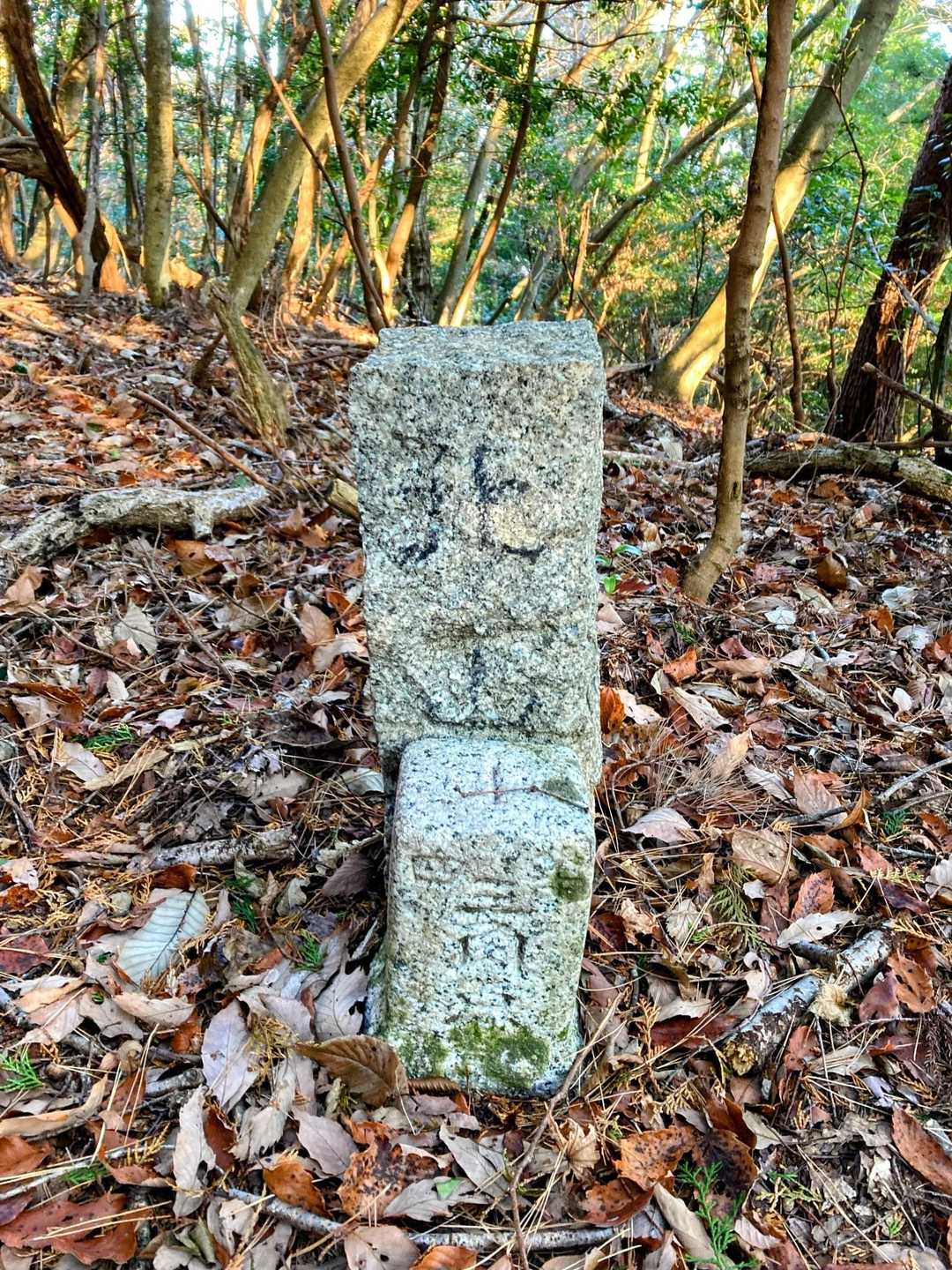 北山⛰山頂に到着❢