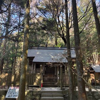 東の宮⛩️でも🙏
ここでさっきの男の子にばったり再会😊
⛩️が取り持つ偶然に感動する単純な私🥹