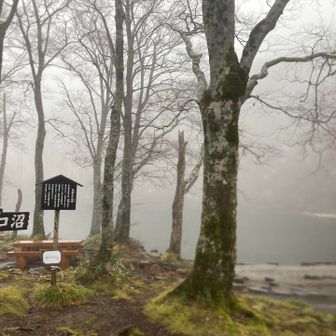 行きに見た『ドッコ沼』です、このときは大地が見えますが・・・