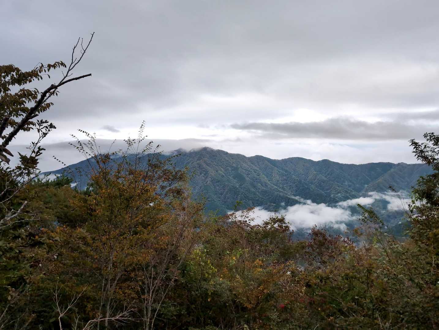 眺望は道志みちを挟んだ大室山、加入道山方面が見えます😎
少しだけ色付いて来てますがまだまだって感じです🍂🌰🍁