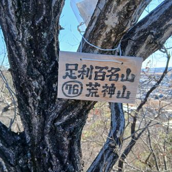 ⑬荒神山　あんまり人が歩いてなさそうなルートから再び登って