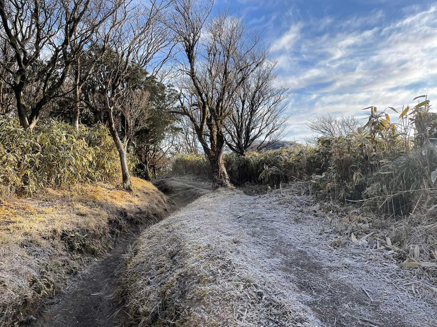 気温が低く凍ってます❄️