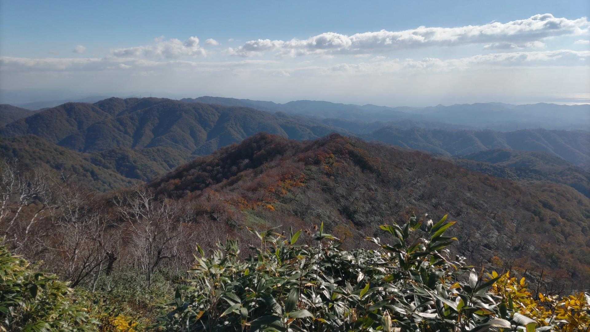 3合目4合目あたりが
やたらと長い
後半はサクサク🚶