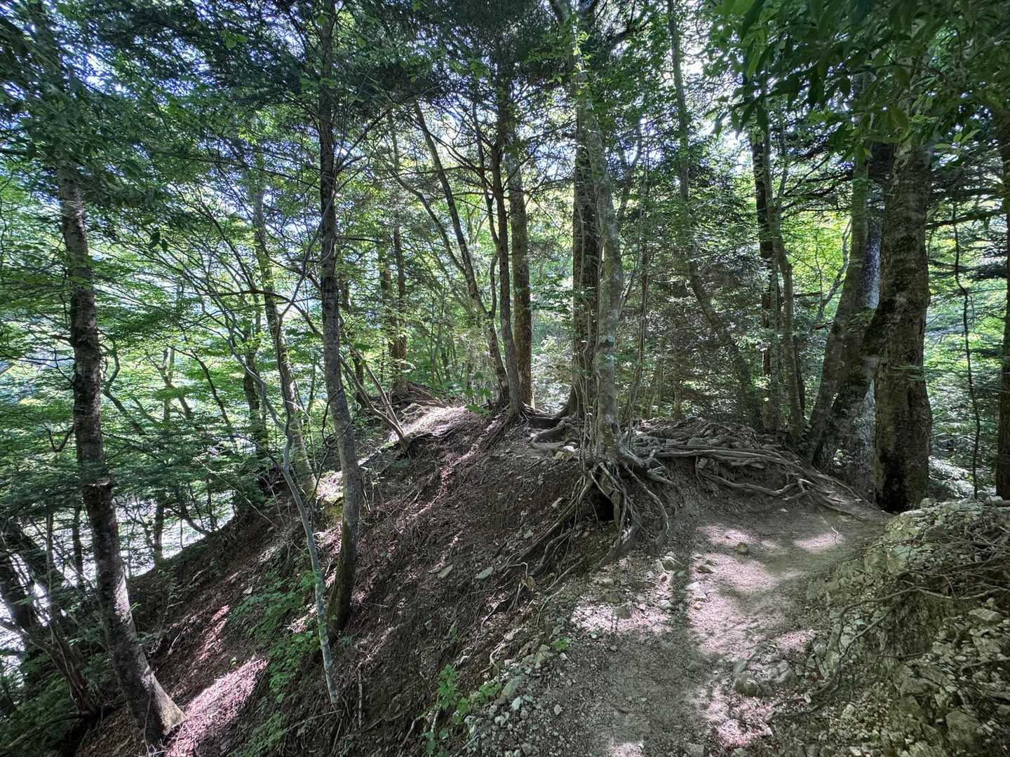 タフな登りが続きます。