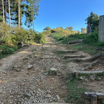 山頂まで、階段