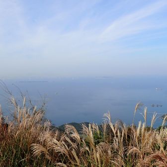西側、玄界灘の青い海