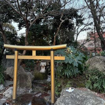 ここが愛宕山ピーク、23区最高峰！！！