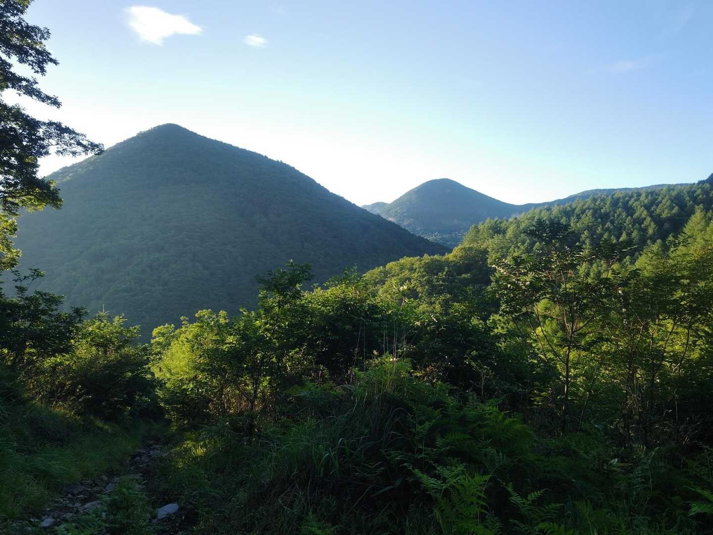 桟敷山と奥は篭ノ登山かな？