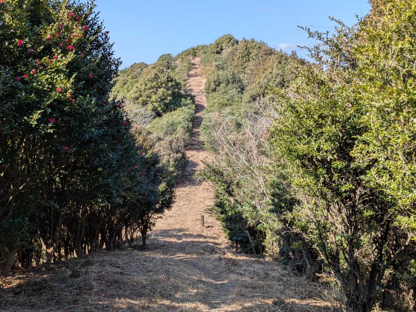 鬼ノ鼻山が見えてきました