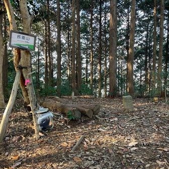 山頂は少し広いスペースですが眺望なし。
ので、そそくさと下山。