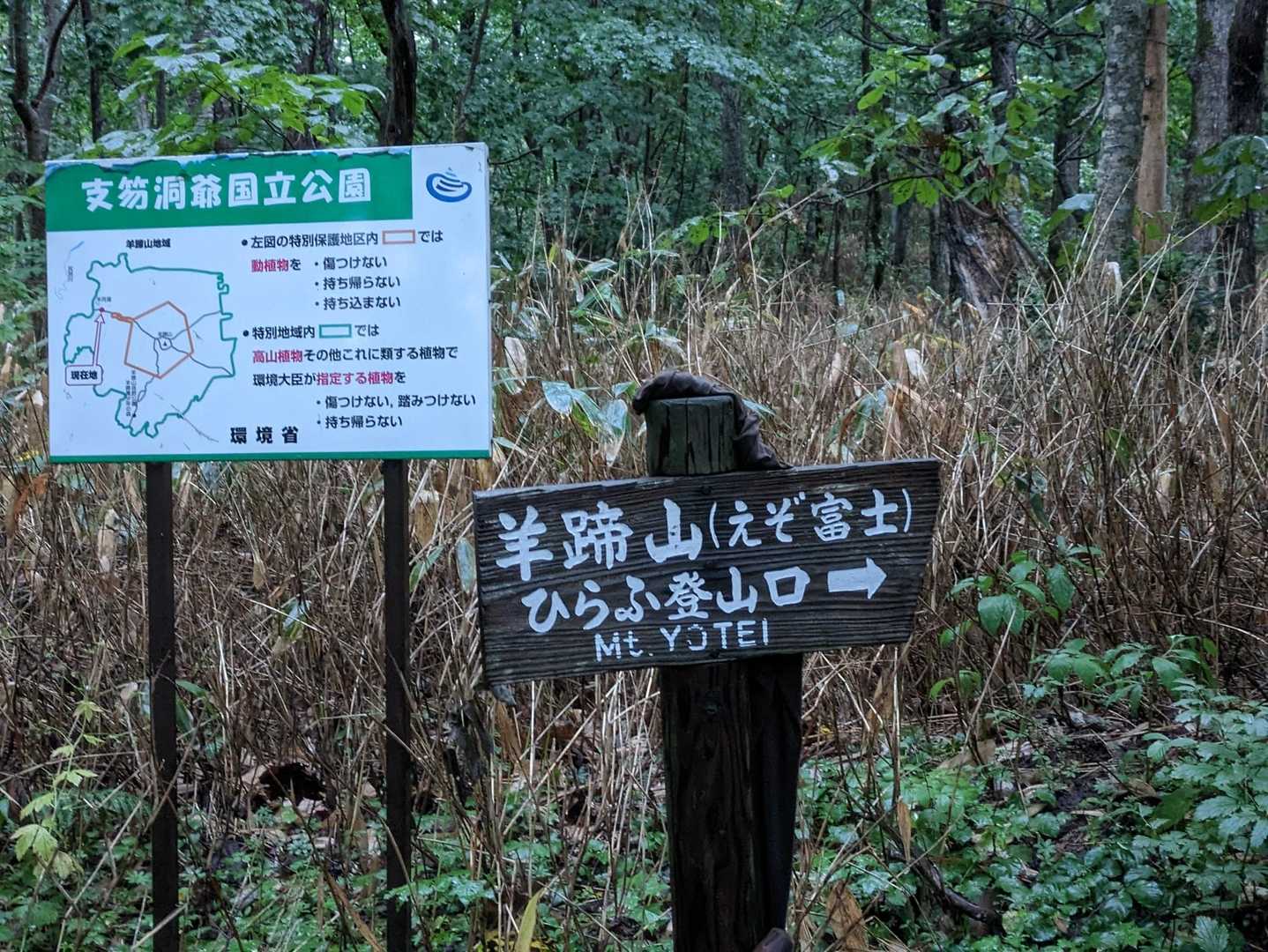 夜は大雨。登るのやめる予定だったのに、5時に雨が止む🤣
慌てて準備し、５時半スタート‼️