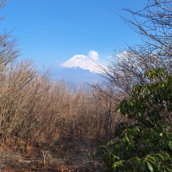 お、富士山～