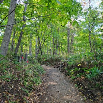 観音様を数えながら登ります
🚶‍♀️