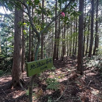 一応 4ピーク全 地頭山付きです
