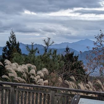 一丁平からの大山