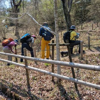 水芭蕉見に行く