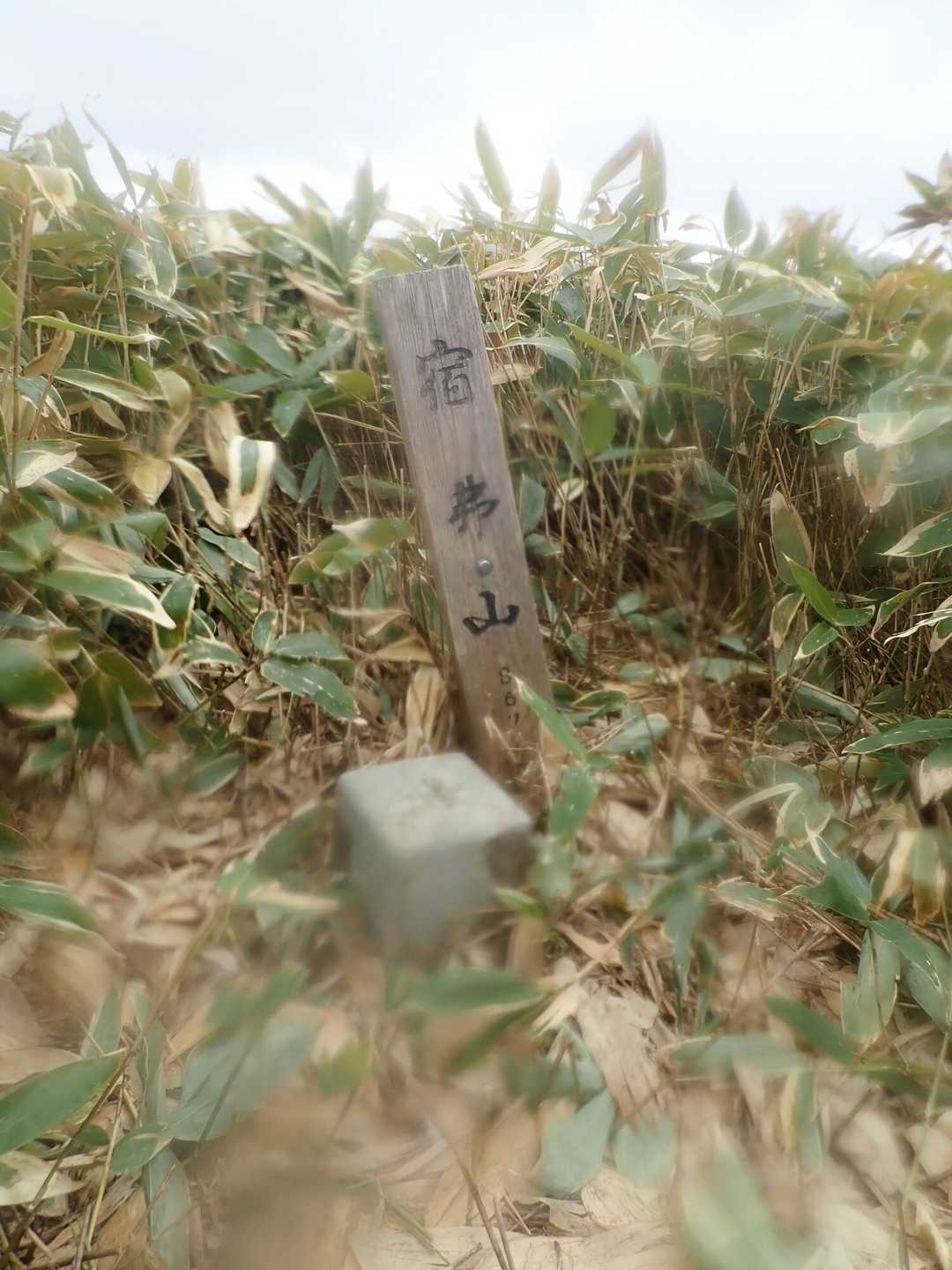 墓標のような標識と
三等三角点 点名は宿弗
