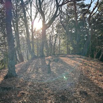 猿焼山（城ヶ丸）　開けてますが何もありません。