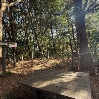 花沢山山頂
静かな山頂