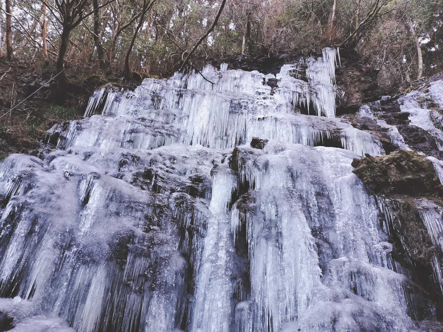 富士見岳-駒引峠 周回コースの写真