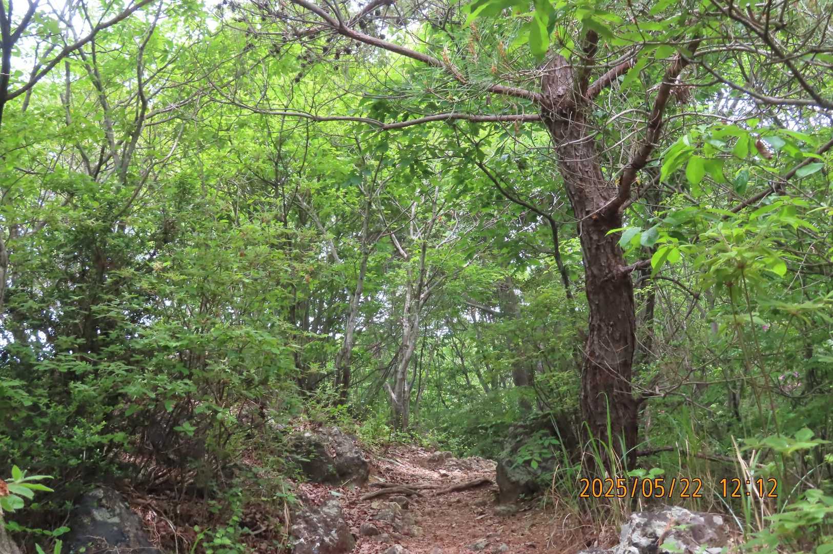 伊吹の滝登山口-各務原権現山 往復コースの写真