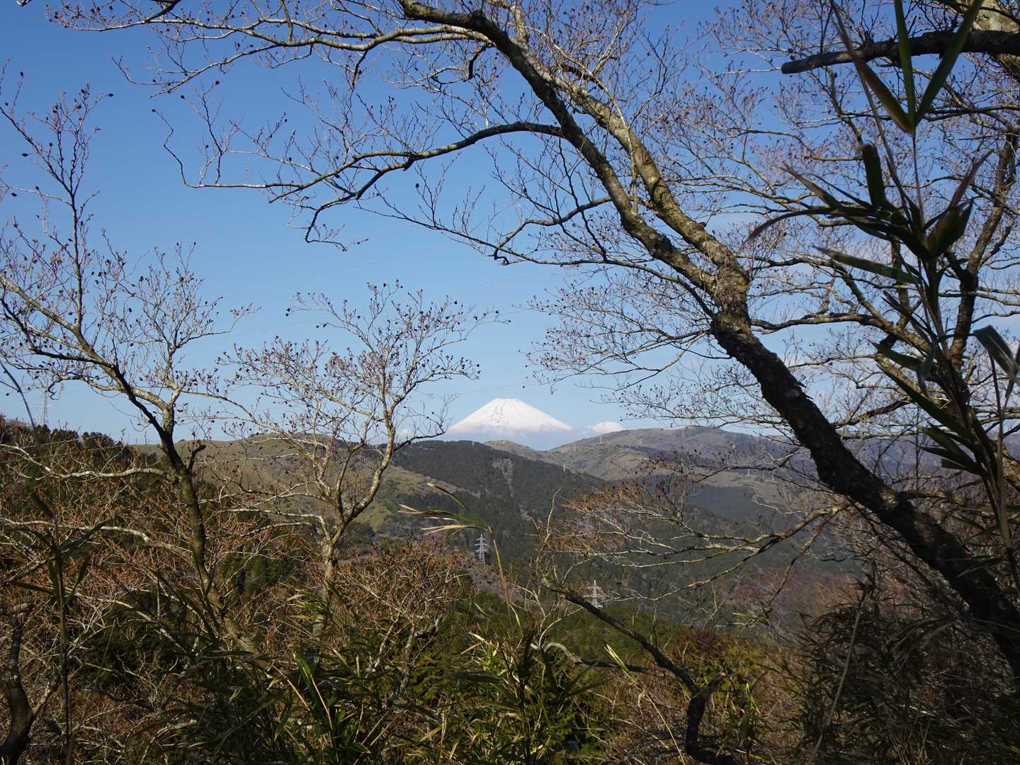 隙間富士🗻
自身とは逆方面からハイキングコースを歩く人の方が多めに思えました・それでも合計一桁の人でしたけど😅この隙間富士を見たらテンションあがりますよね